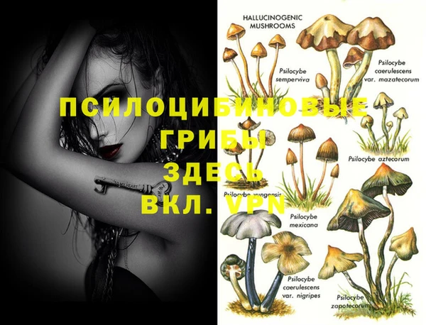круглые Абдулино