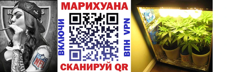 купить закладку  Димитровград  Канабис сатива 