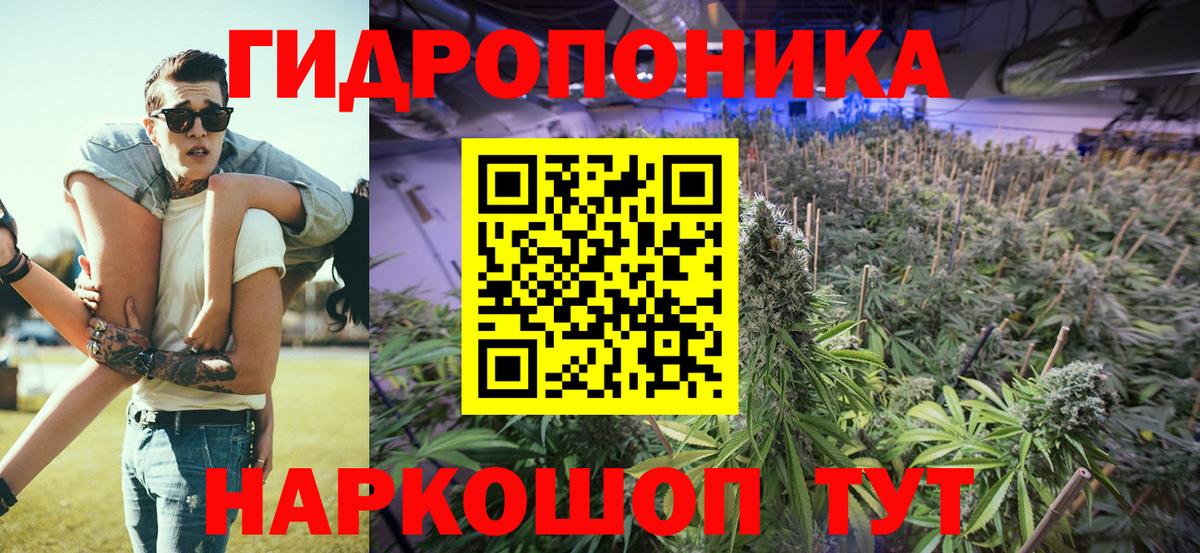 Канабис конопля  Вход с VPN  Канабис MAZAR  Димитровград 